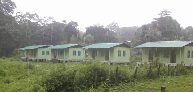 Portfolio Image 7